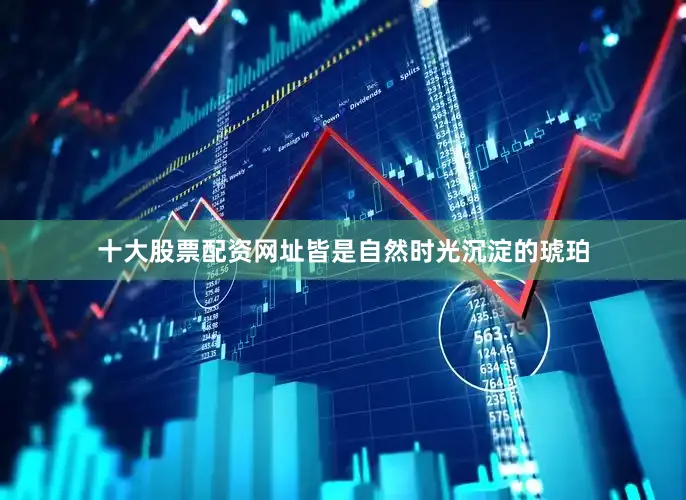 十大股票配资网址皆是自然时光沉淀的琥珀
