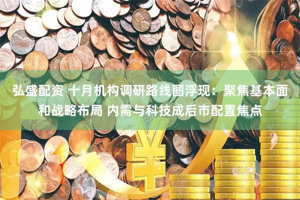 弘盛配资 十月机构调研路线图浮现：聚焦基本面和战略布局 内需与科技成后市配置焦点