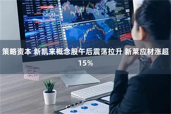 策略资本 新凯来概念股午后震荡拉升 新莱应材涨超15%