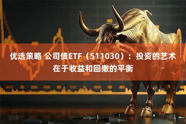 优选策略 公司债ETF（511030）：投资的艺术在于收益和回撤的平衡