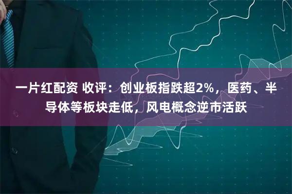 一片红配资 收评:创业板指跌超2%,医药、半导体等板块走低,风电概念逆市活跃