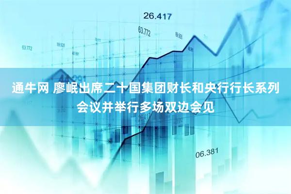 通牛网 廖岷出席二十国集团财长和央行行长系列会议并举行多场双边会见