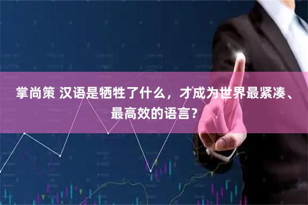 掌尚策 汉语是牺牲了什么，才成为世界最紧凑、最高效的语言？