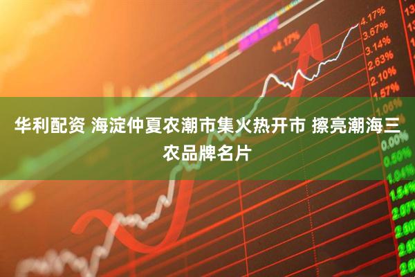 华利配资 海淀仲夏农潮市集火热开市 擦亮潮海三农品牌名片