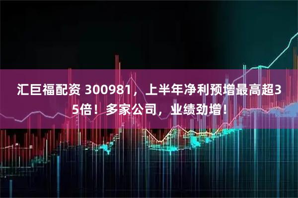 汇巨福配资 300981，上半年净利预增最高超35倍！多家公司，业绩劲增！